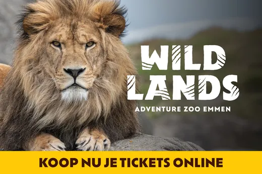 Advertentie van Wildlands Adventure Zoo op het LED-scherm in Dokkum